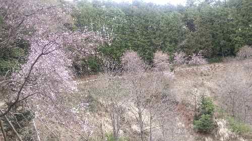 e0047322_23533814.jpg