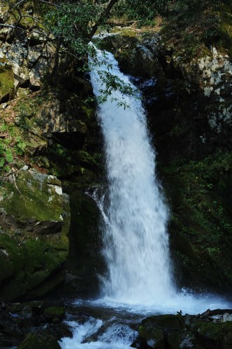 b0309623_13472211.jpg