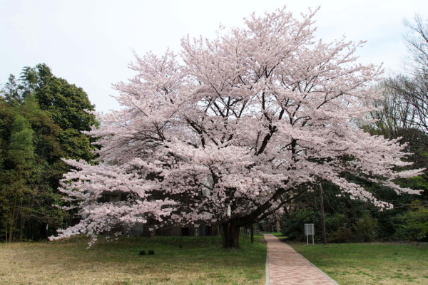c0234226_19362790.jpg