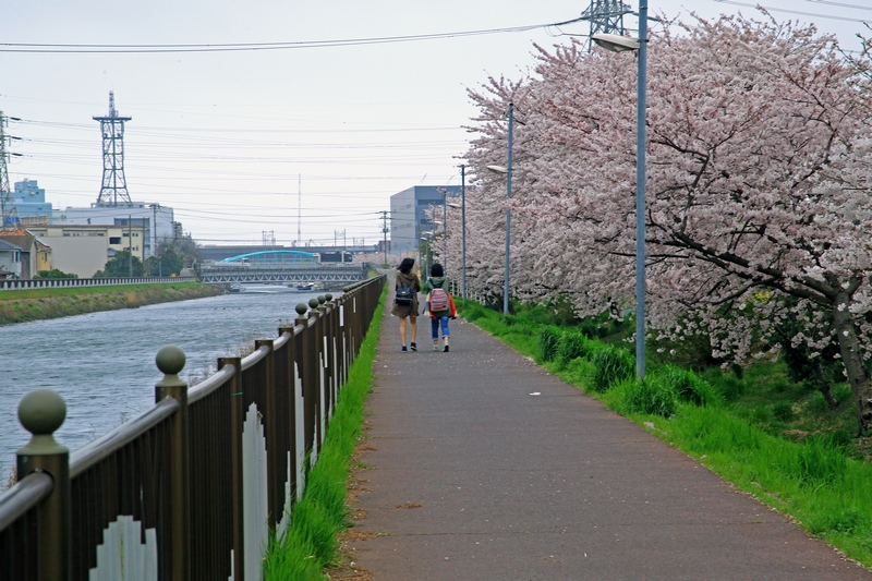 c0104227_16543163.jpg