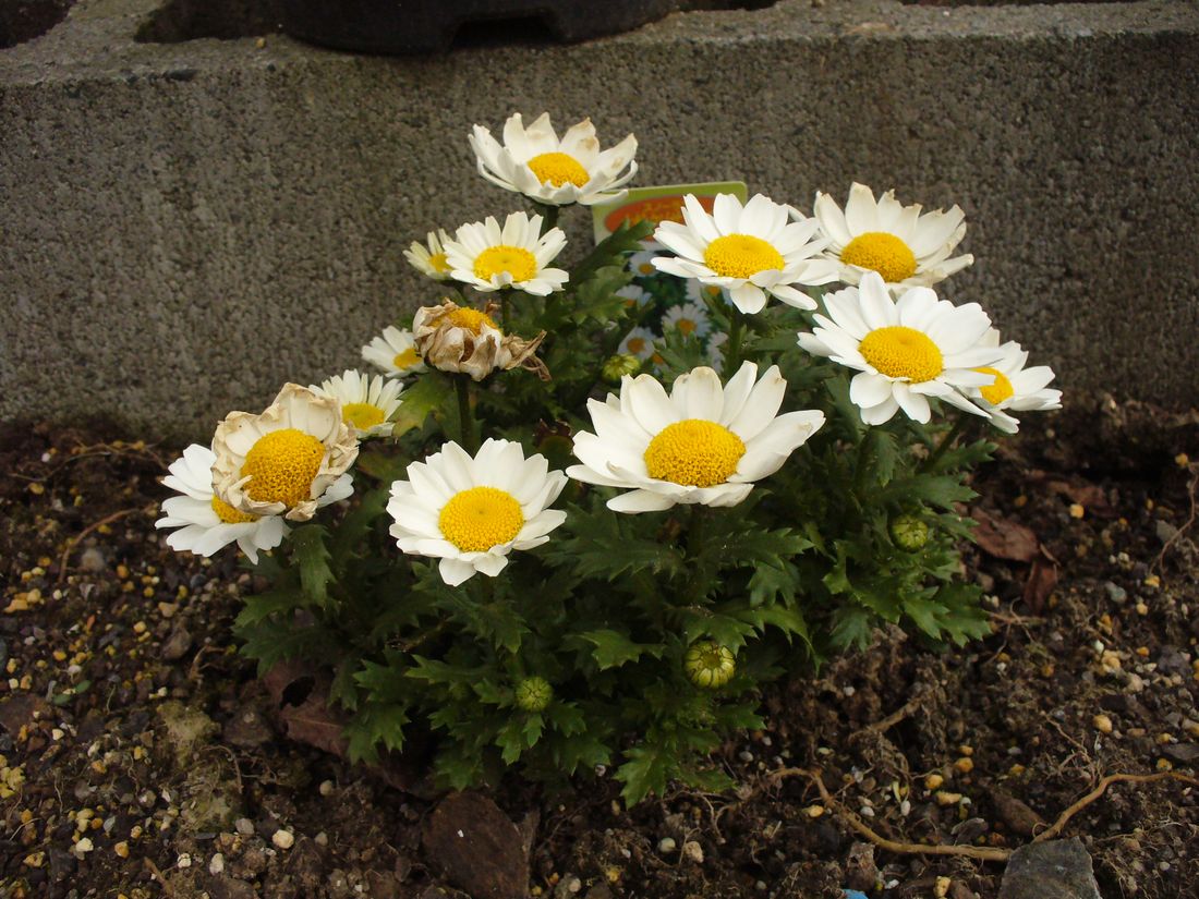 f0346527_22545714.jpg