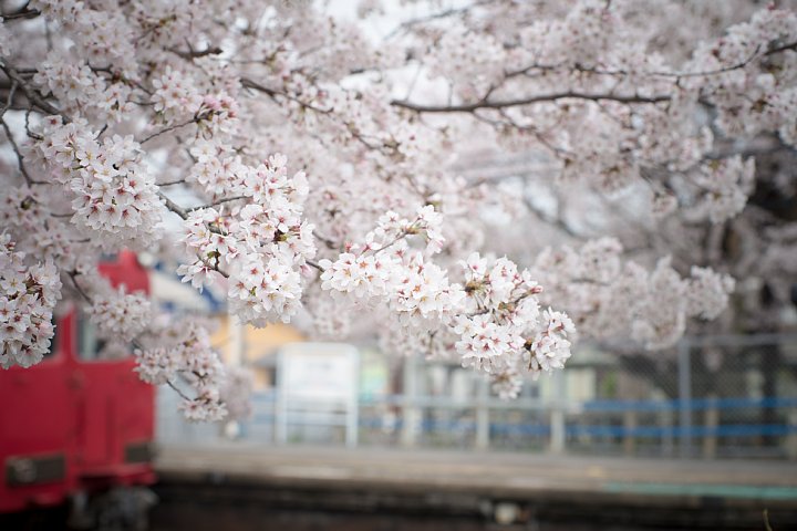 b0134829_2230851.jpg