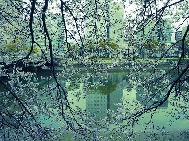 f0231829_23114321.jpg