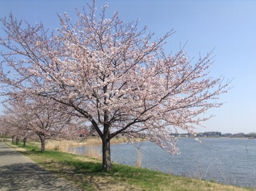 d0092235_10275245.jpg