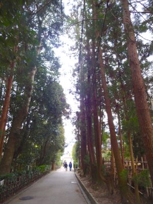 f0141840_02290161.jpg
