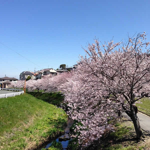 c0181543_182021.jpg