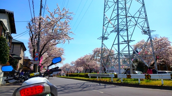e0086244_1225578.jpg