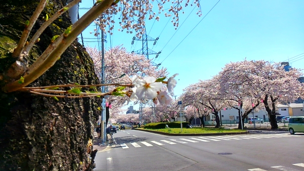 e0086244_1226621.jpg