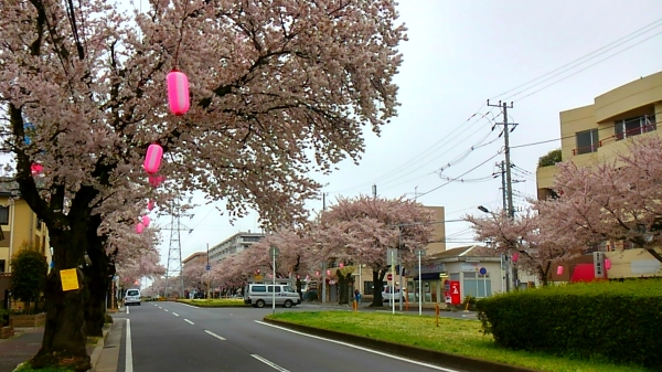 e0086244_14173541.jpg