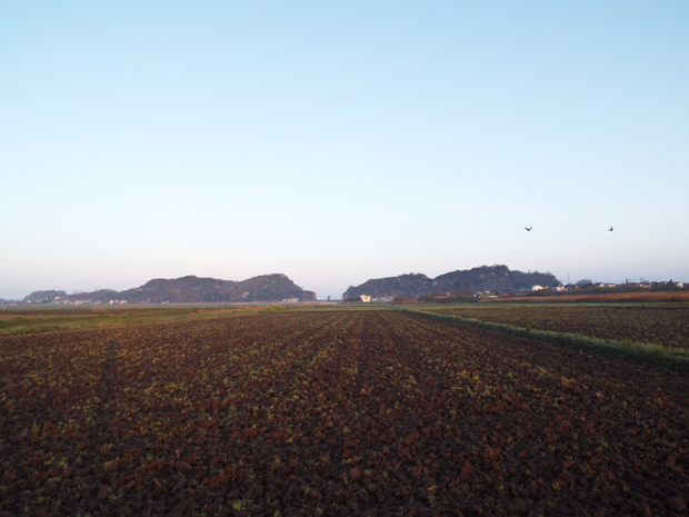 f0214649_534592.jpg