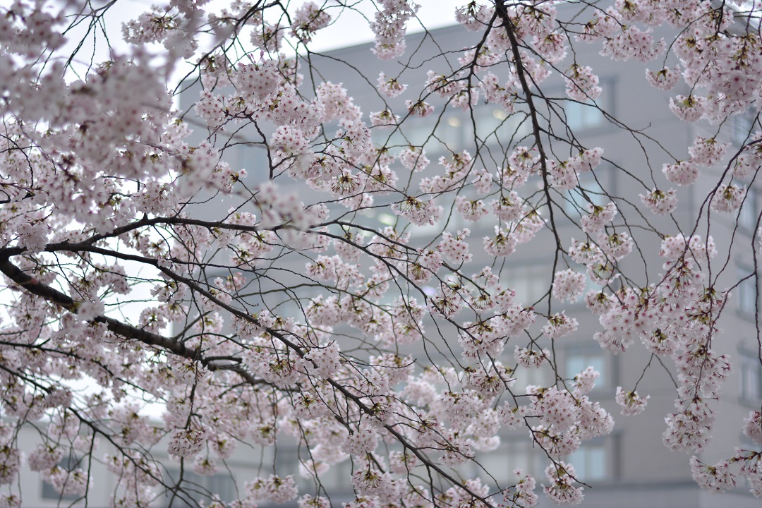 a0055650_23513742.jpg