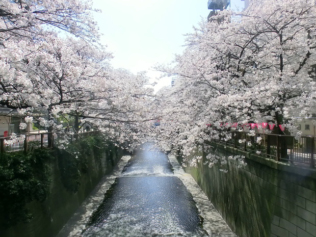d0212451_14444531.jpg