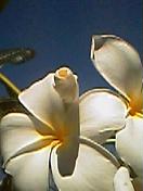 f0257756_12415968.jpg