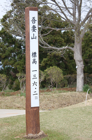 a0154957_1134326.jpg