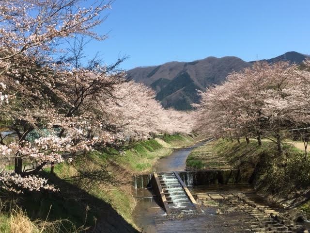 b0186959_11342889.jpg
