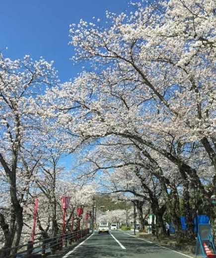 b0186959_113439100.jpg