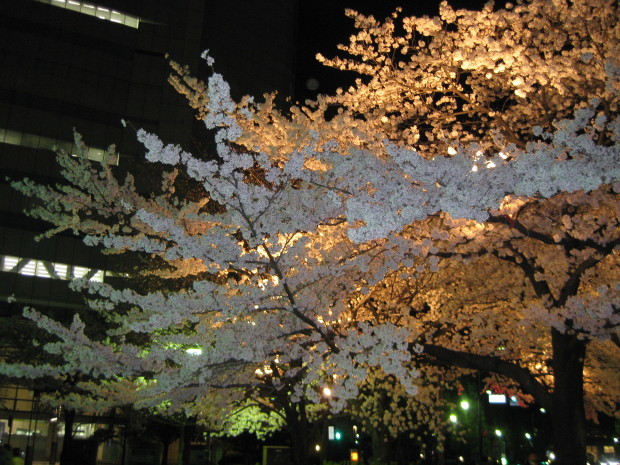 f0345263_23142114.jpg