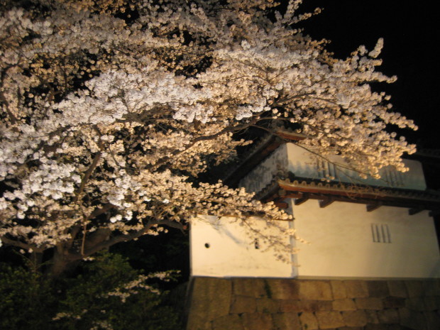 f0345263_23203912.jpg