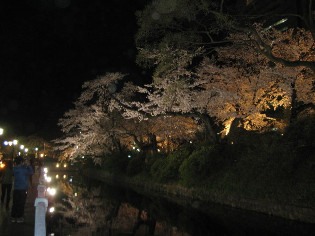f0345263_23224434.jpg