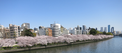 c0117570_13182954.jpg