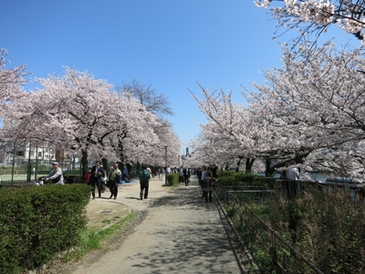 c0117570_13225834.jpg