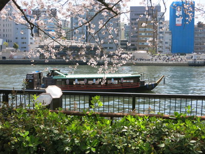 c0117570_1323174.jpg