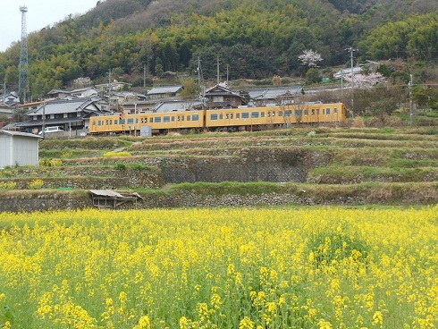 e0175370_9321946.jpg