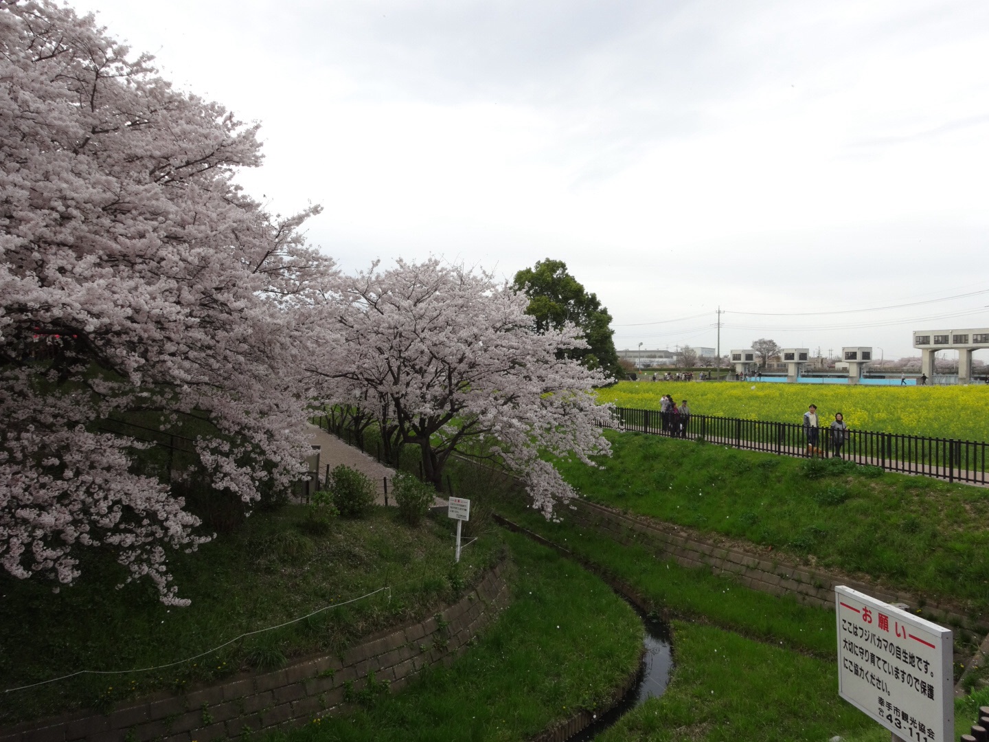 b0095671_22245392.jpg