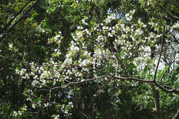 e0292172_20512043.jpg