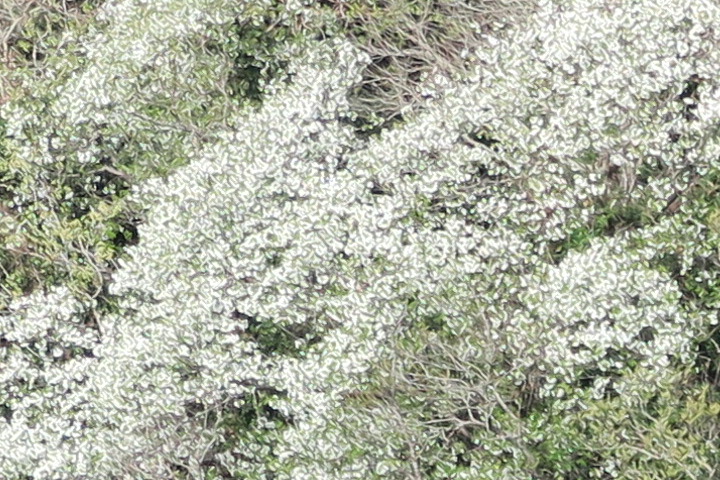 e0292172_20524849.jpg