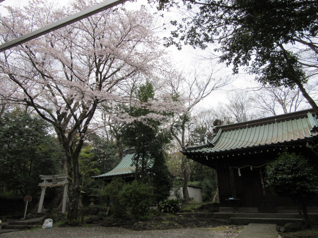 d0109373_1512535.jpg