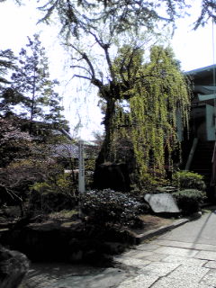 a0234877_9421016.jpg