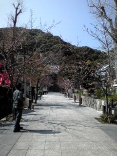 a0234877_9422518.jpg