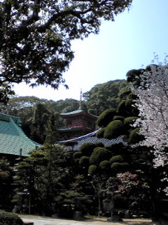 a0234877_9423925.jpg