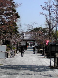 a0234877_9425132.jpg