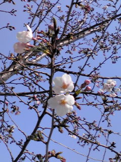 a0234877_9425659.jpg