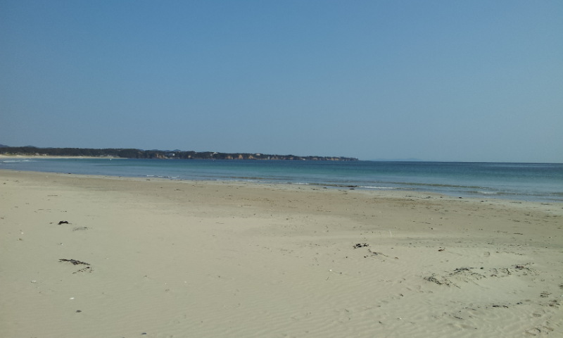 e0165577_1193120.jpg