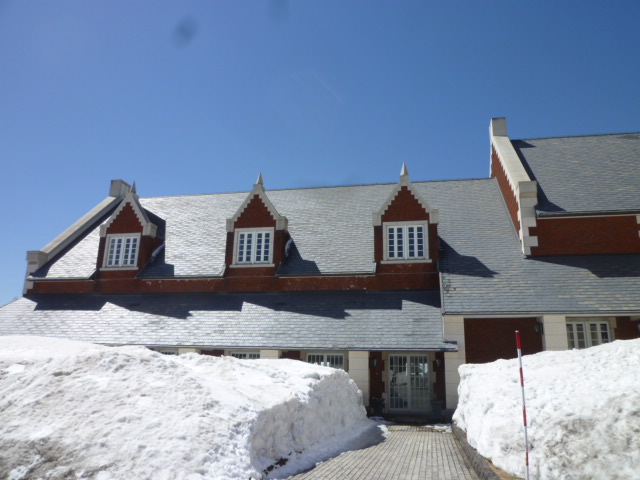 e0165577_1535674.jpg