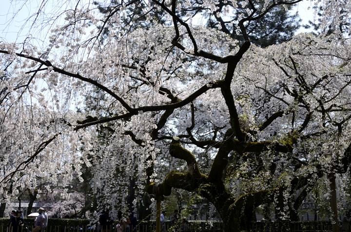 f0108478_20112061.jpg