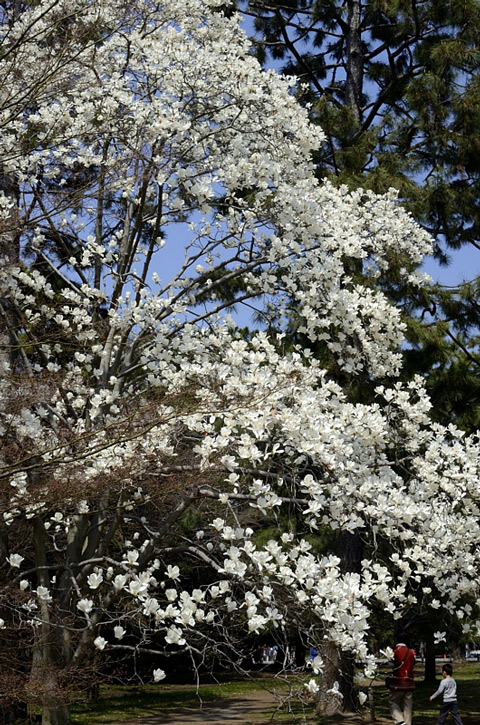 f0108478_207235.jpg
