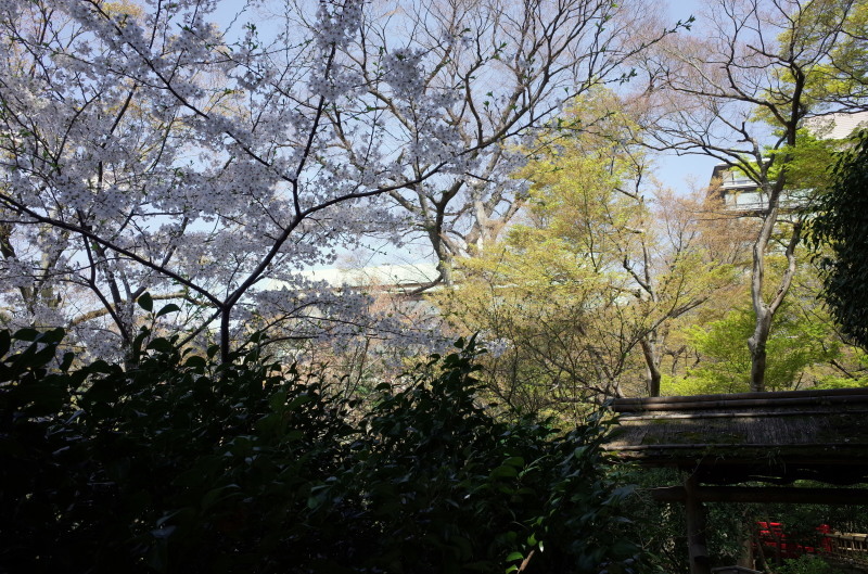 c0188784_01362565.jpg