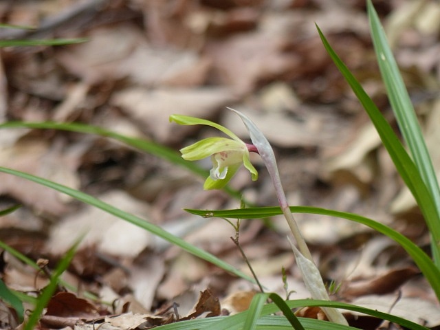 f0357487_10344485.jpg