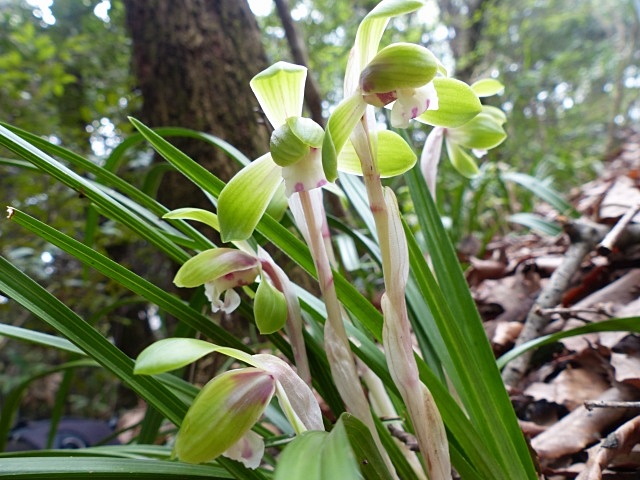 f0357487_1035363.jpg