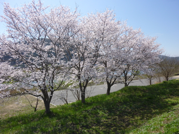 d0333091_8191031.jpg
