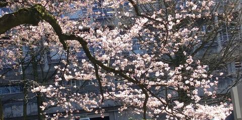 b0169292_20245169.jpg