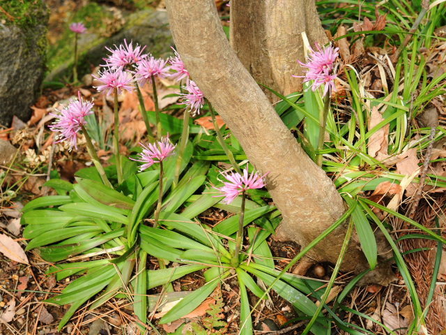f0100593_17093321.jpg