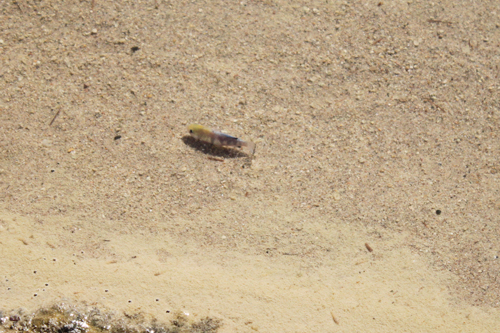c0033994_7242311.jpg