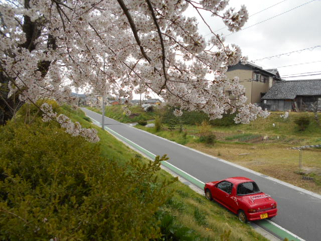 a0194797_23449.jpg