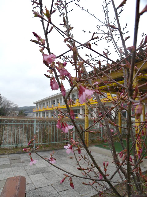 a0199297_1925649.jpg