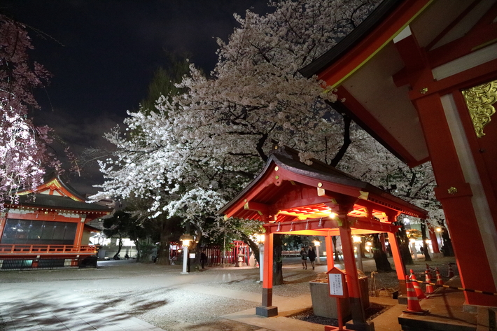 b0275998_23132134.jpg